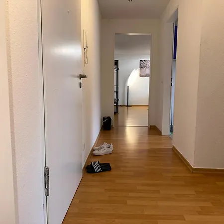City Wohnung Zwickau Zwickau