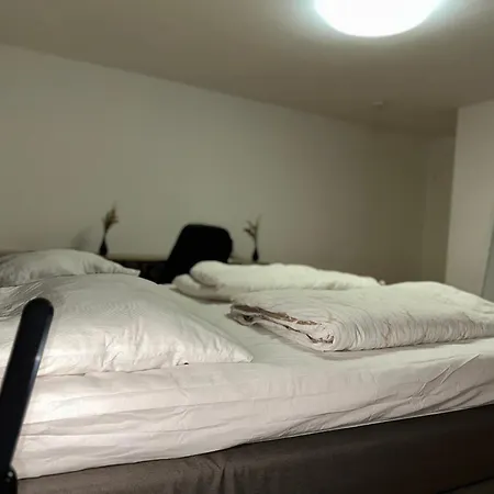 City Wohnung Zwickau Apartman Zwickau