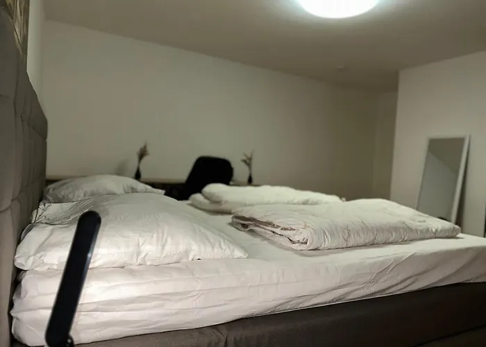 City Wohnung Zwickau 公寓 茨维考