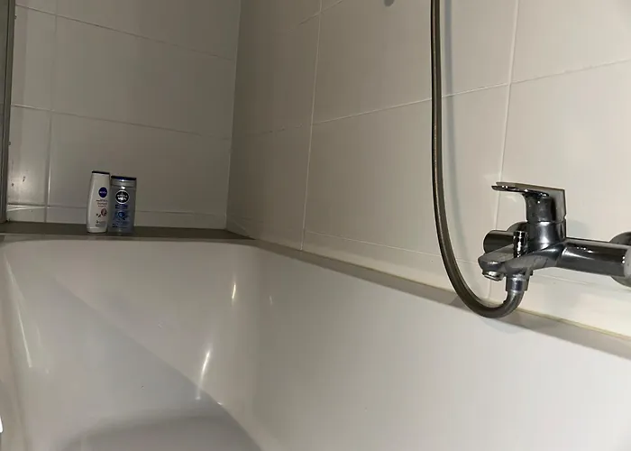 公寓 City Wohnung Zwickau 茨维考