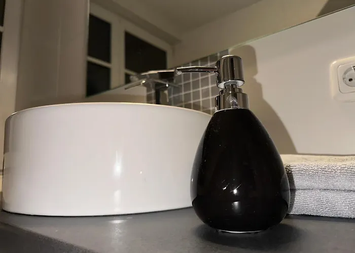 City Wohnung Zwickau 公寓 *