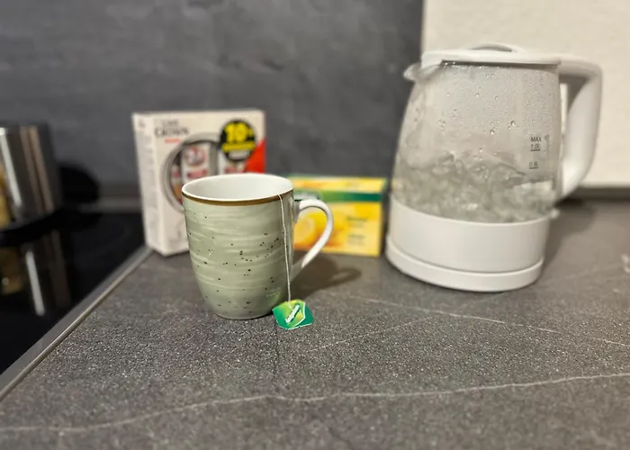 City Wohnung Zwickau 茨维考